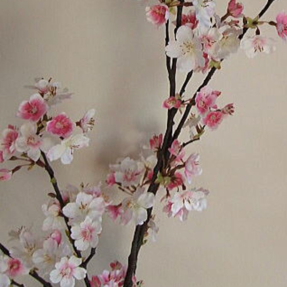 Meet your Posher, Cynthia